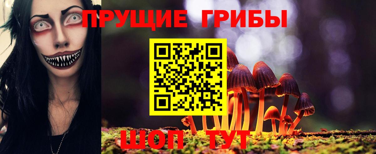 Псилоцибиновые грибы мухоморы Коряжма